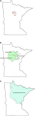 Temporal change in abundance of potential nesting cavities for wood ducks (Aix sponsa) in Northern Minnesota, United States